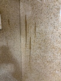 Stain on shower walls
