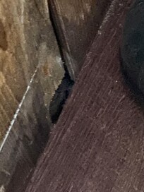Where the mouse went(bathroom)
