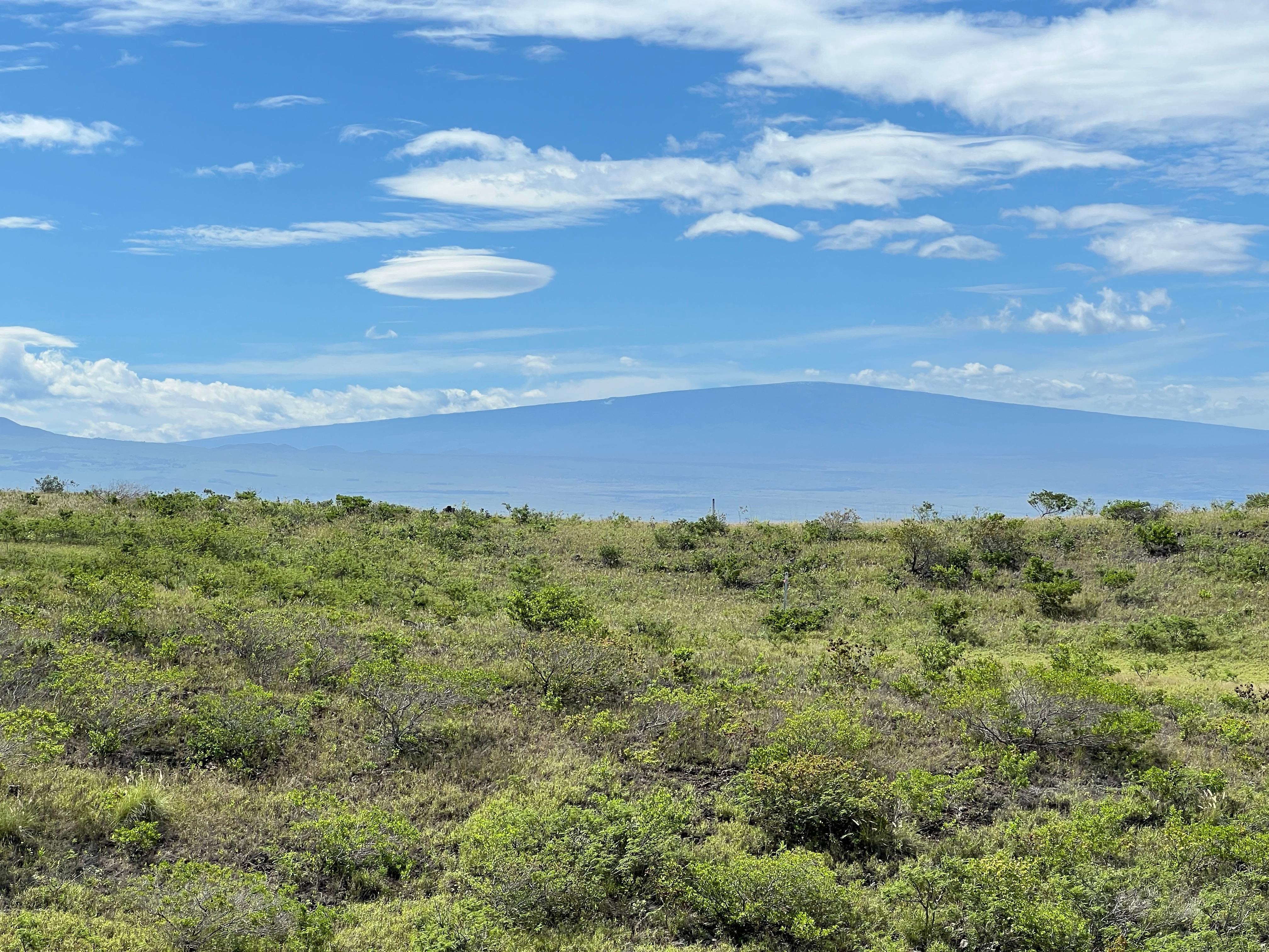 View from the lanai