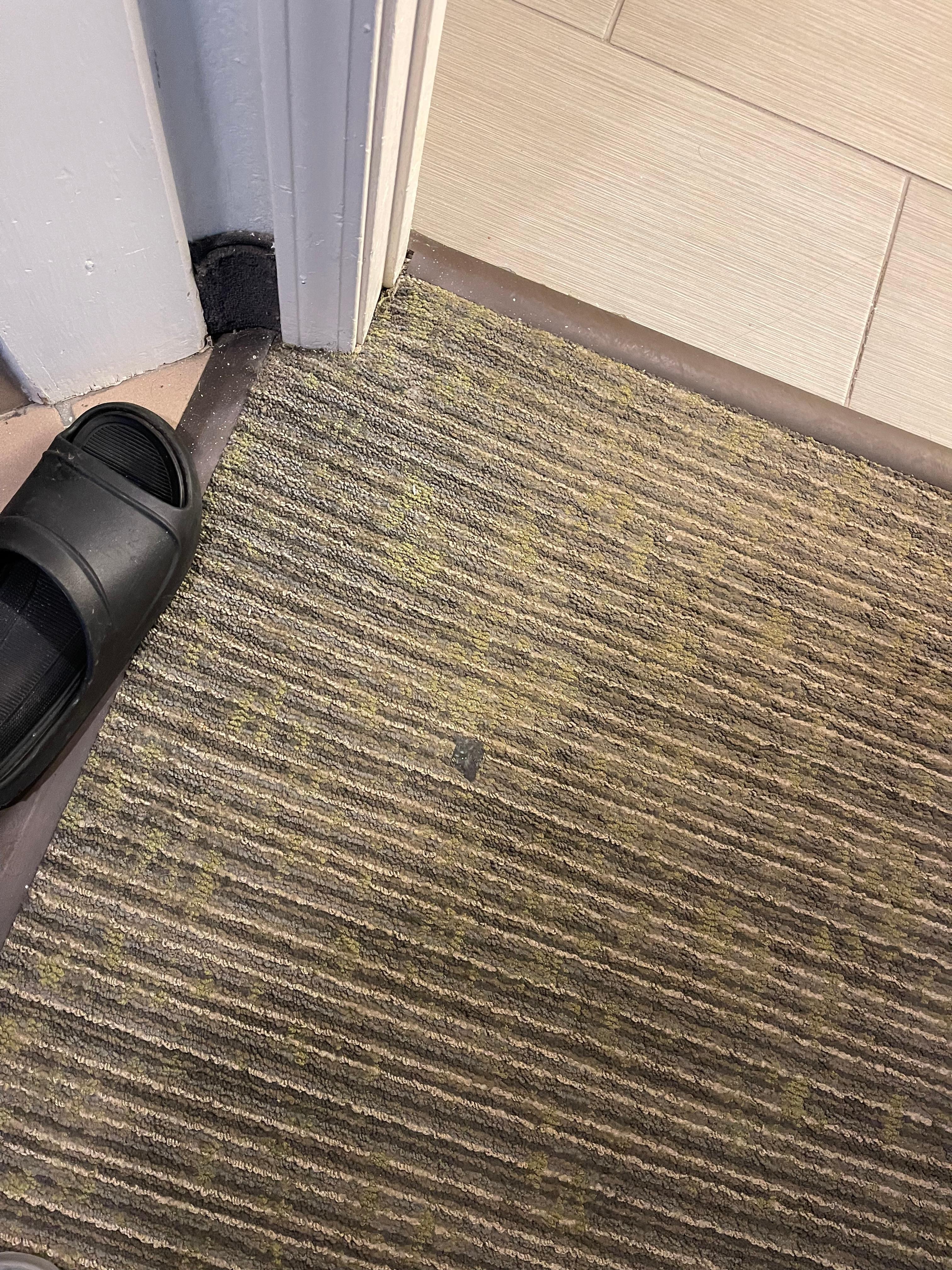 Stains on carpet - looks like old bubble gum