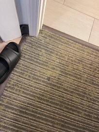 Stains on carpet - looks like old bubble gum