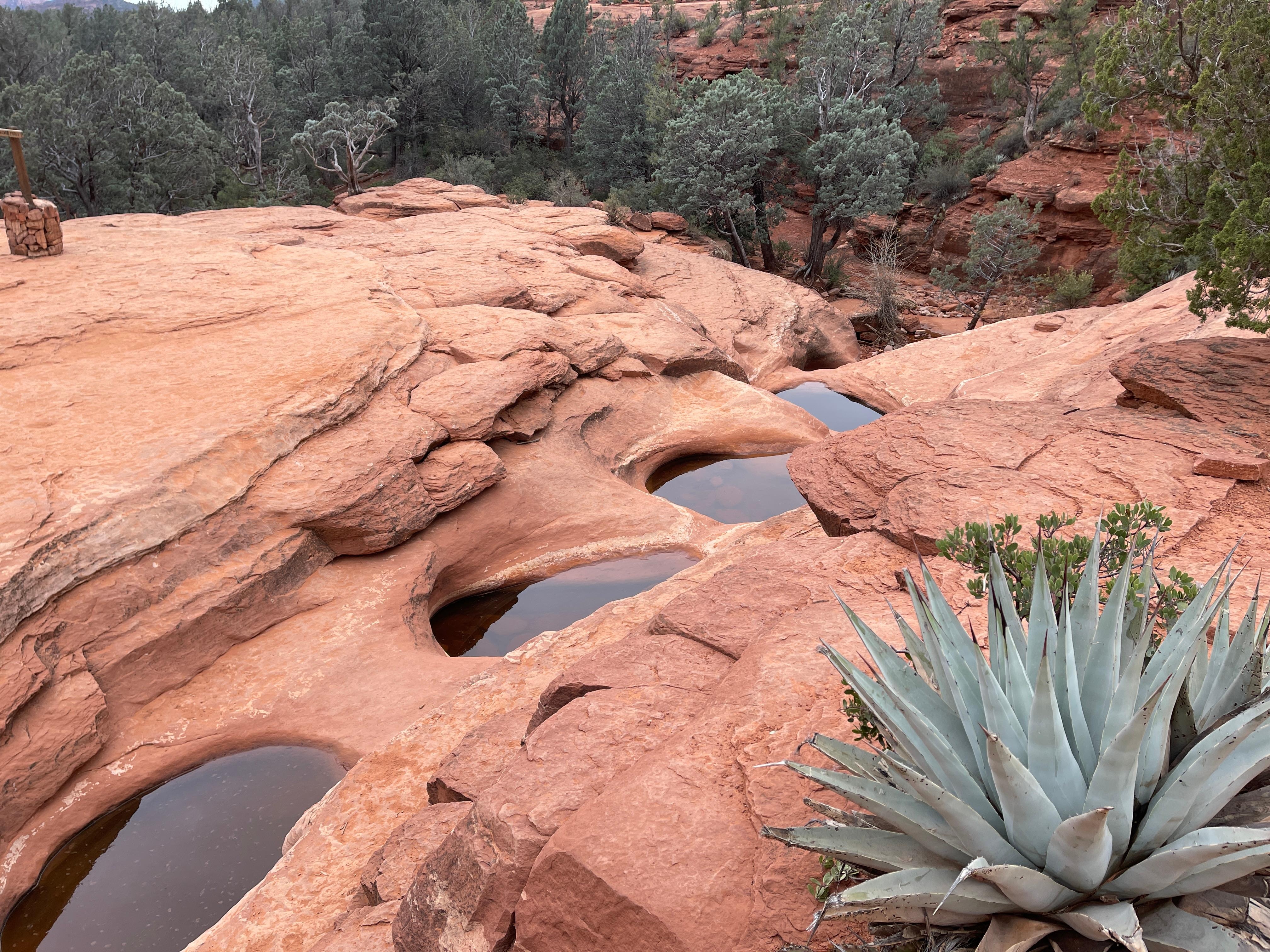This is a hike you can do right out the back door! (7 pools)