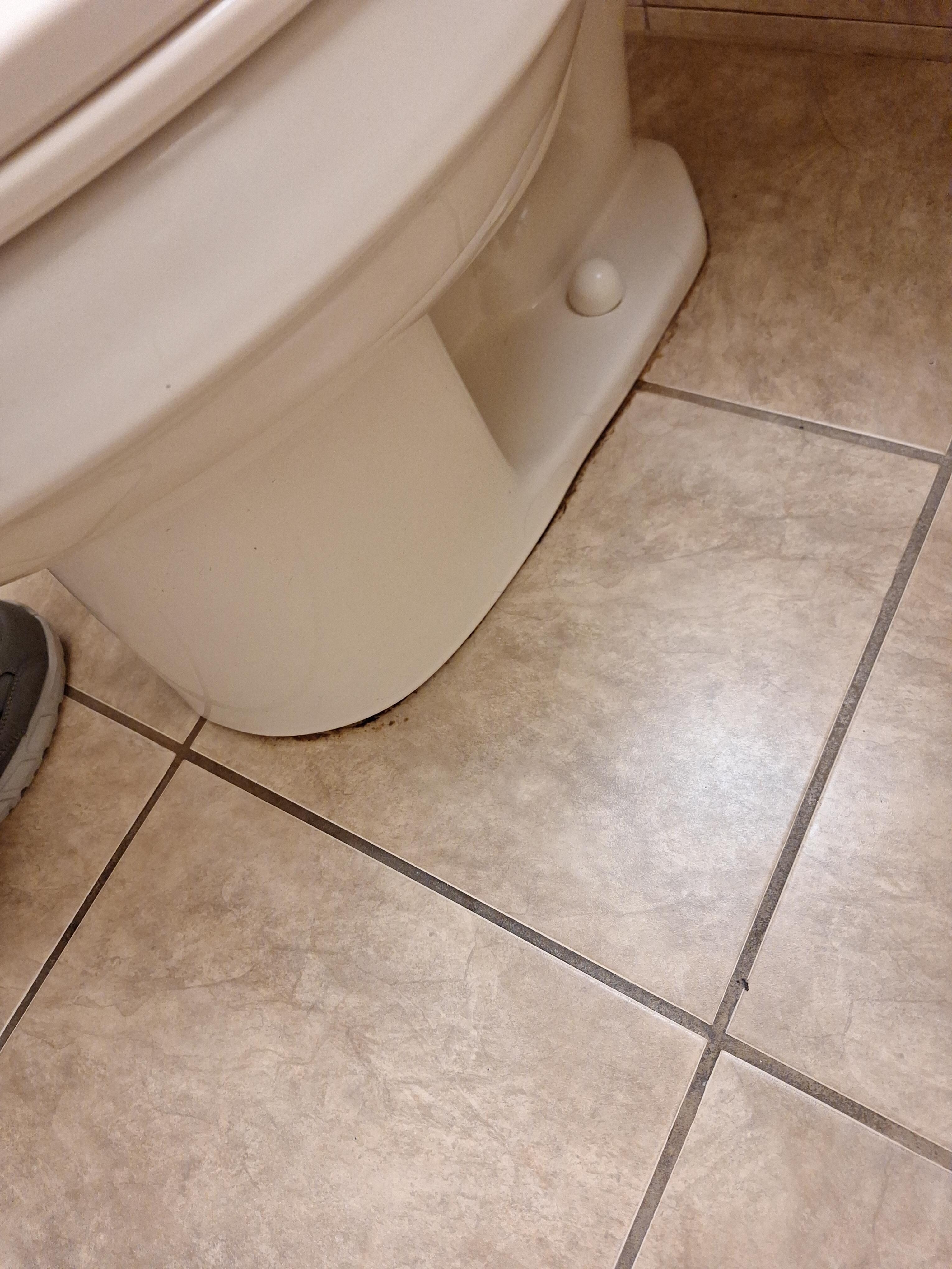 Urine around toilet 
