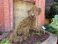 Atlanta botanical Gardens!