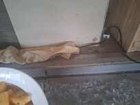 Dirty, moldy buffet counter