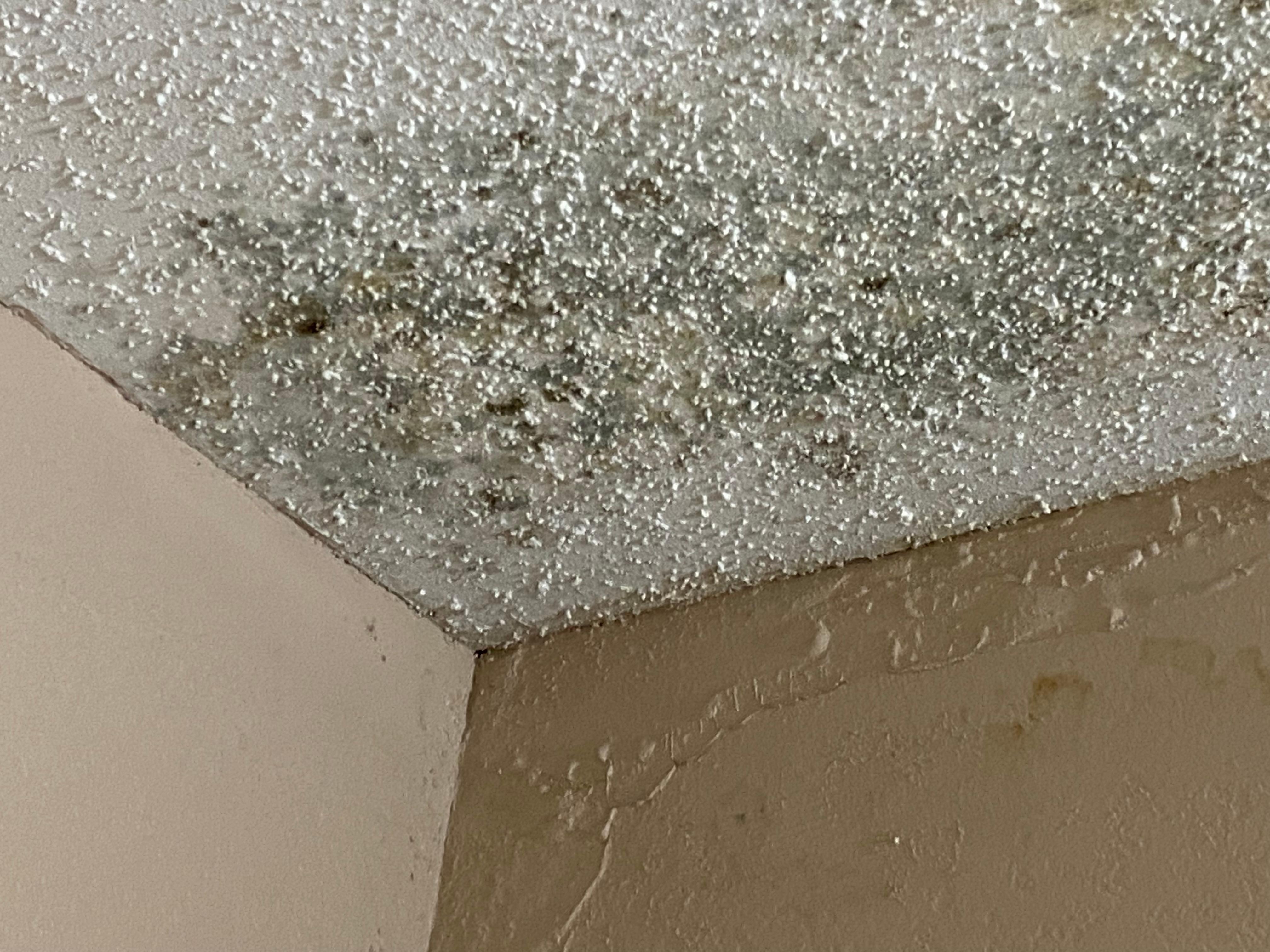 Black mold 