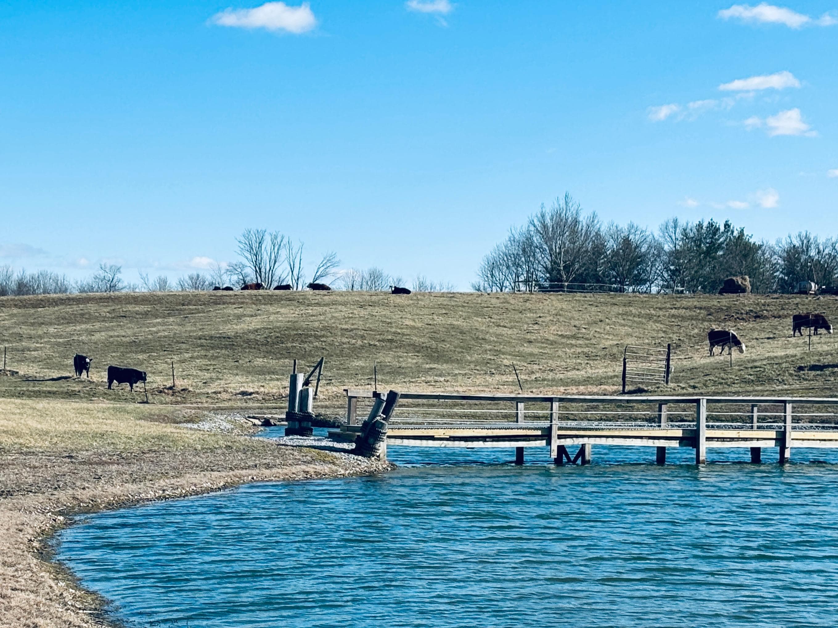 Loved watching the “residents” on the property. We also enjoyed a morning greeting from the adorable resident pup on premises!