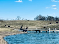 Loved watching the “residents” on the property. We also enjoyed a morning greeting from the adorable resident pup on premises!