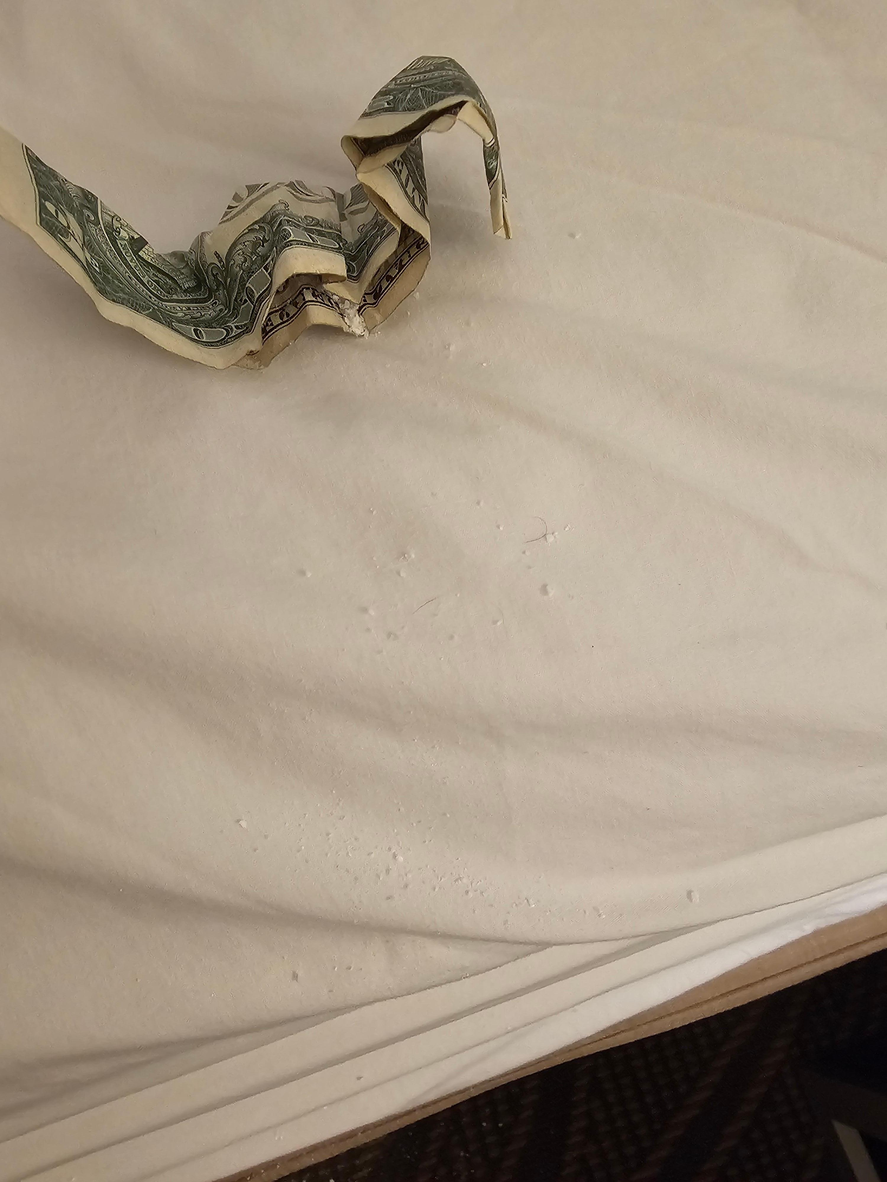 Drugs on bed from under mattress and fell all over. 