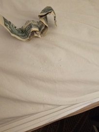 Drugs on bed from under mattress and fell all over.