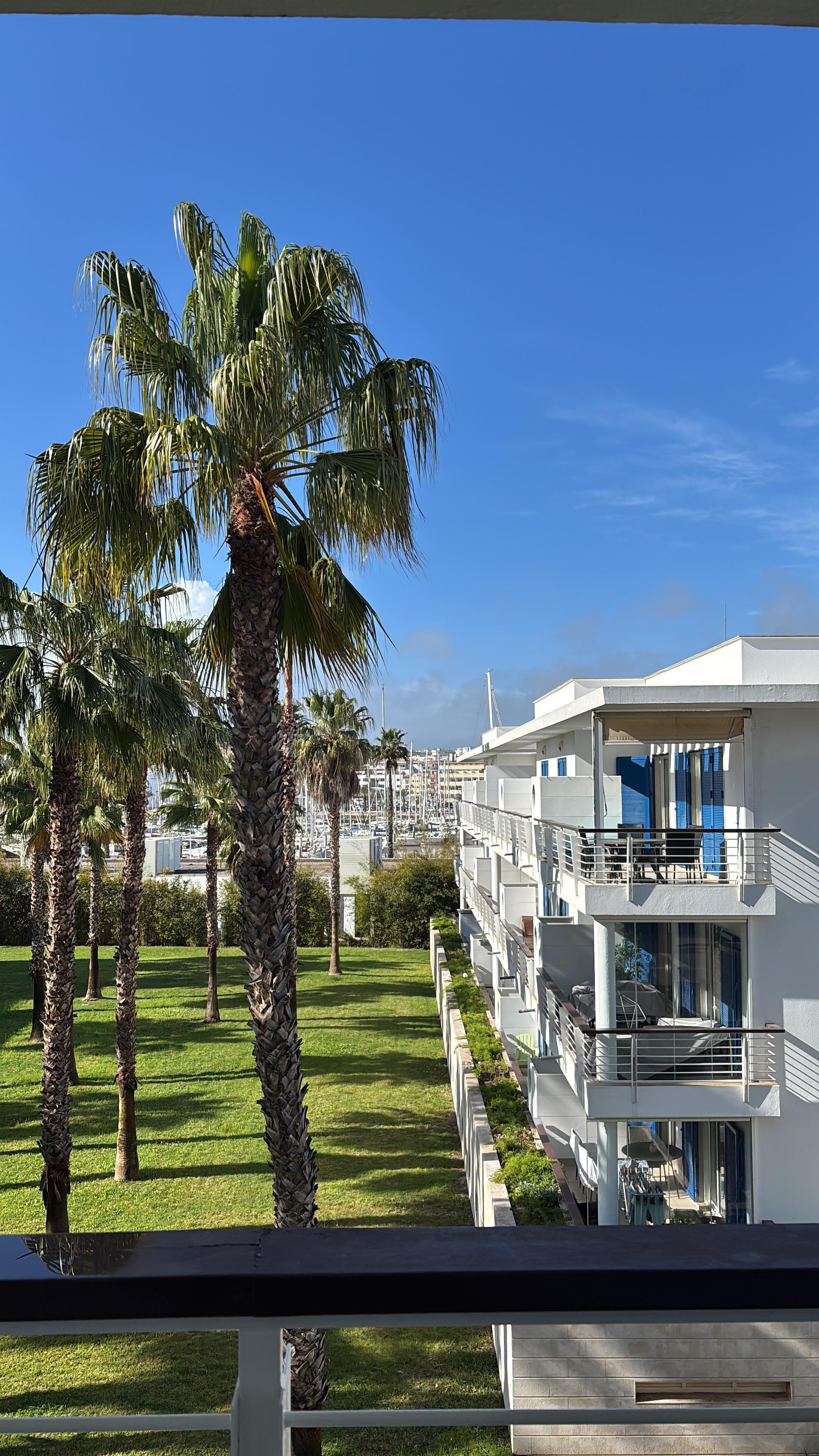 View from the balcony.