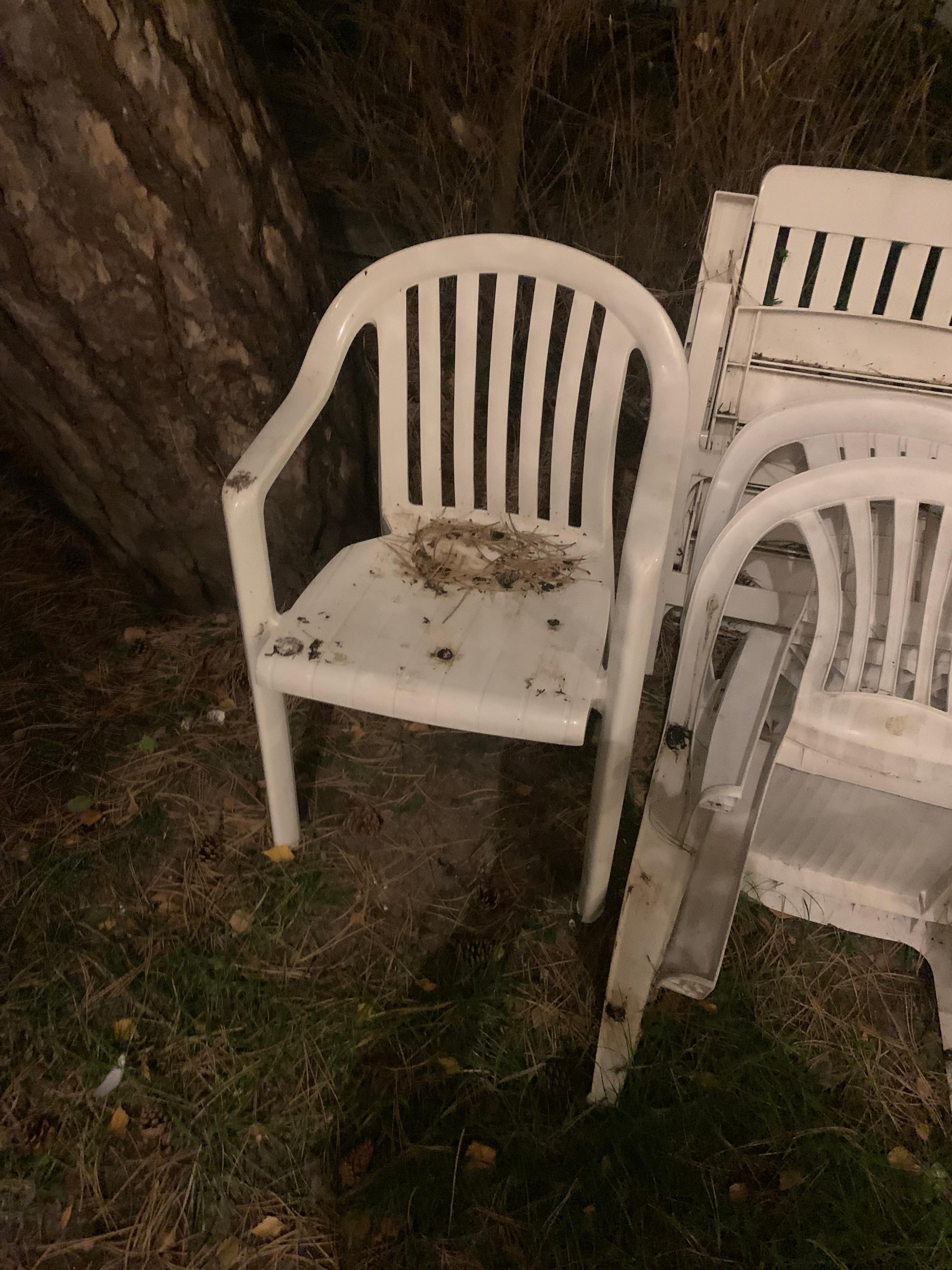 Terrasse en mauvais état . Pas de nettoyage avant mon arrivée . 