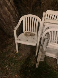 Terrasse en mauvais état . Pas de nettoyage avant mon arrivée .