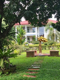 Front view