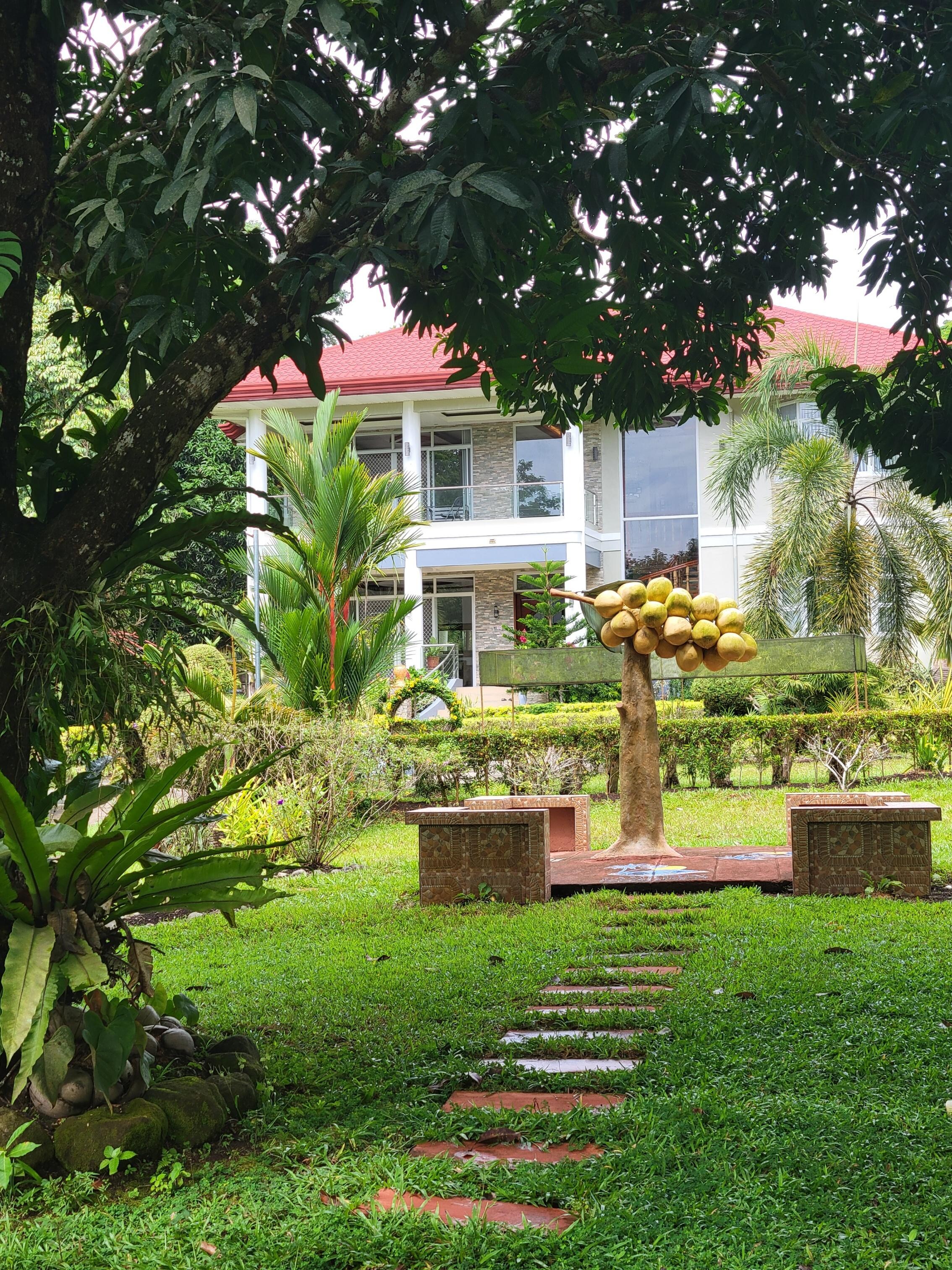 Front view