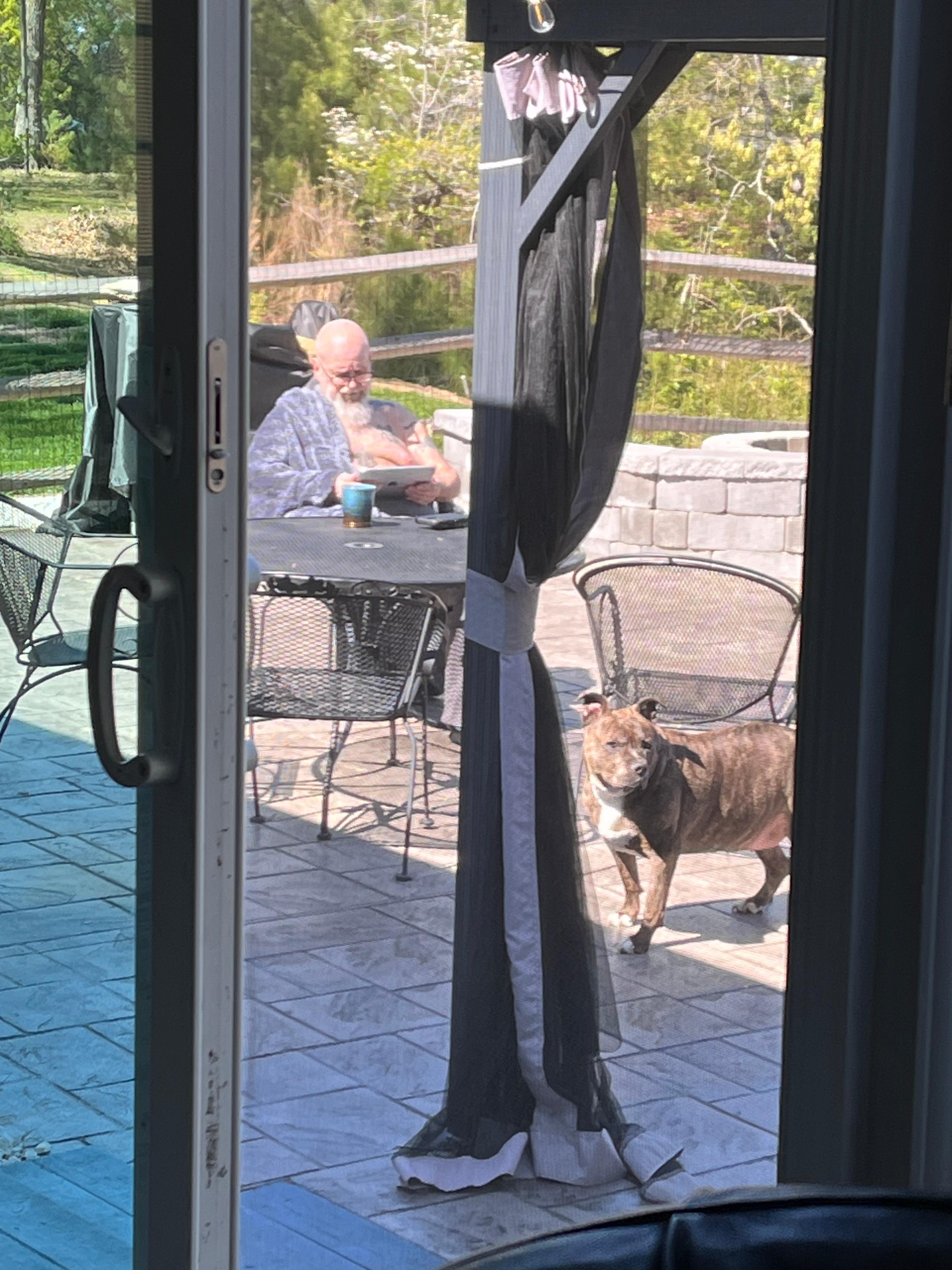 view towards the fir pit