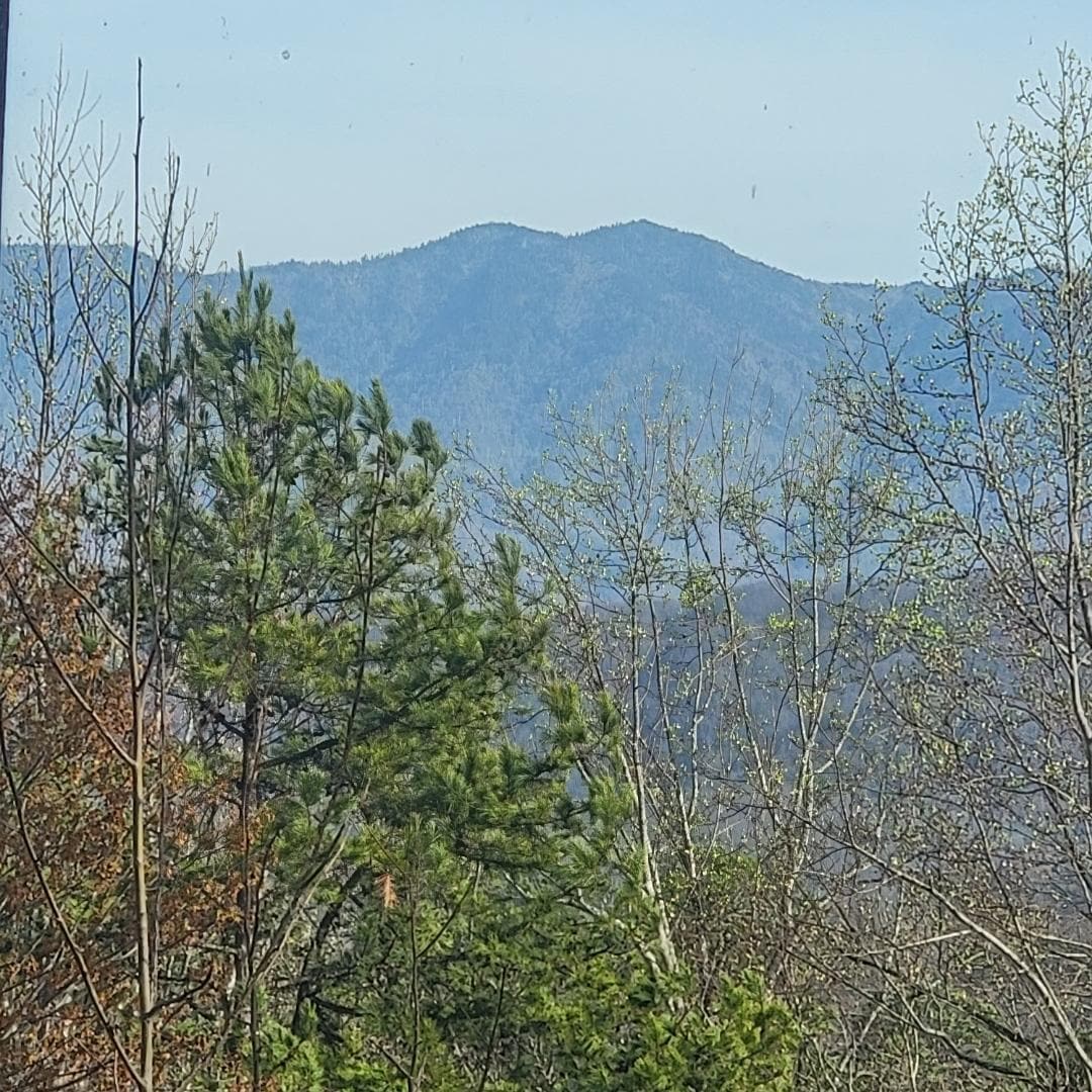 Our view upon arrival to the cabin from the covered porch.  A view you just never get tired of!