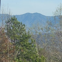 Our view upon arrival to the cabin from the covered porch. A view you just never get tired of!