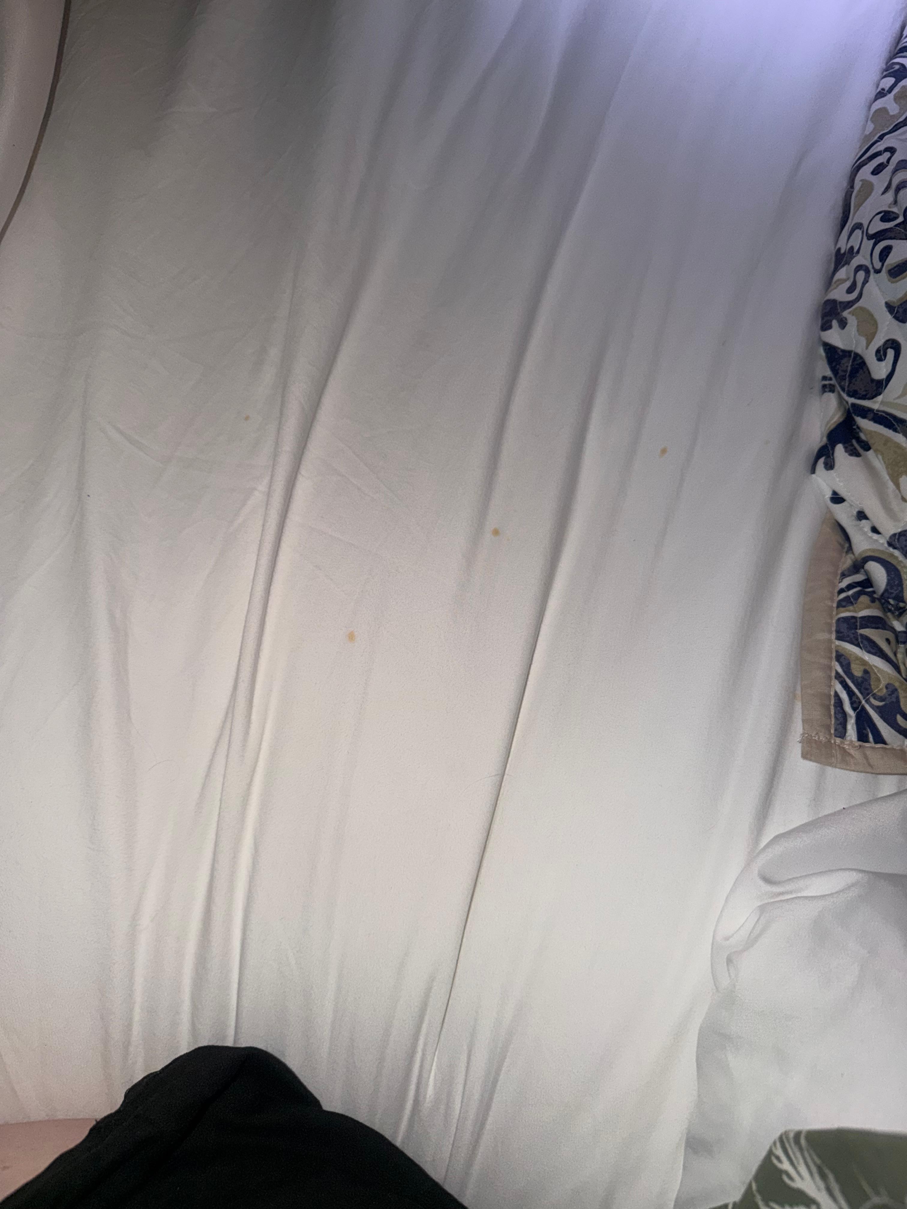 Orange stains all throughout the bedsheets 