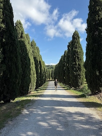Driveway