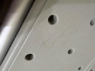 HAIR ON HANDICAP SHOWER CHAIR