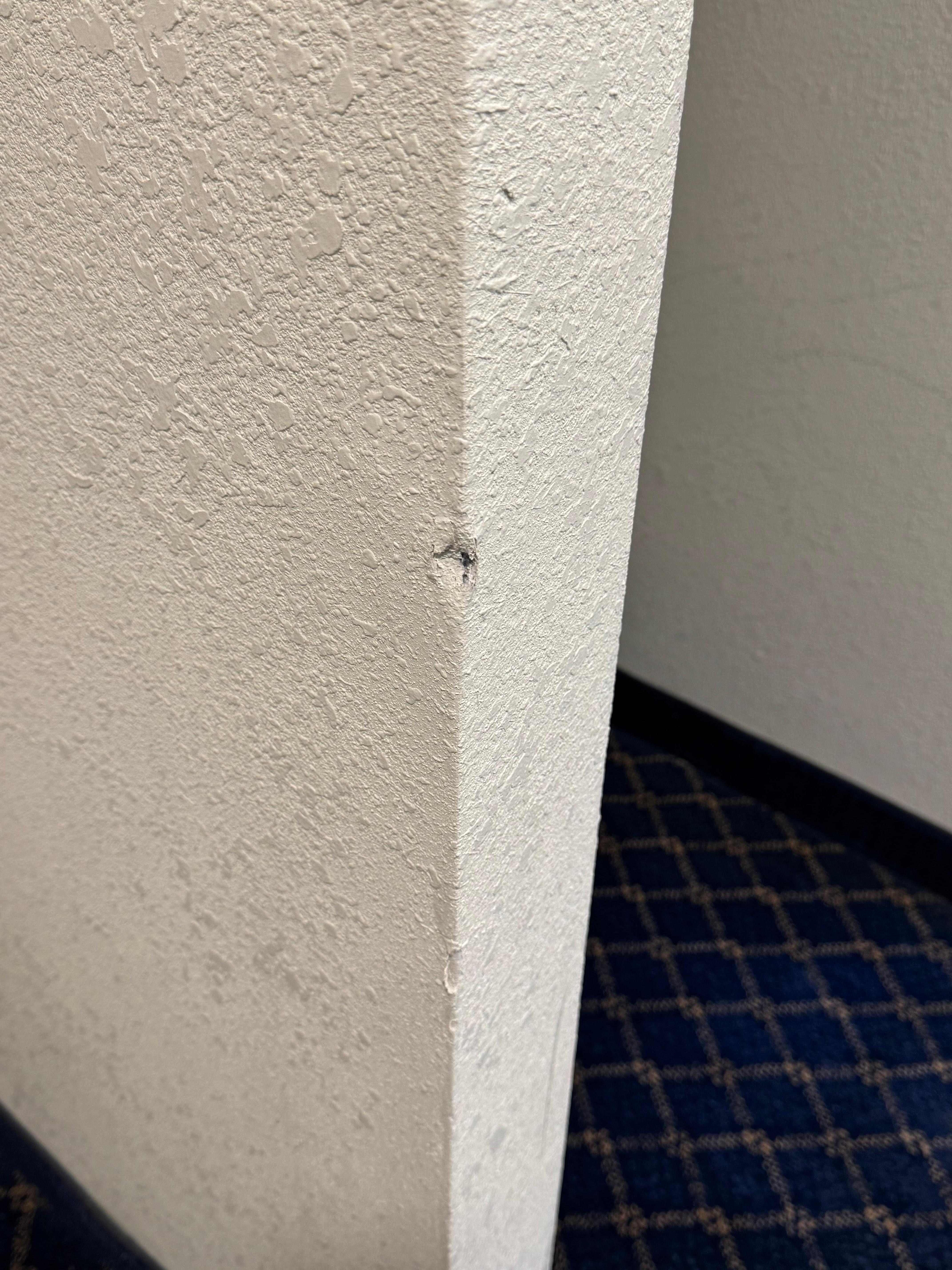 Most of the walls were banged up like this 