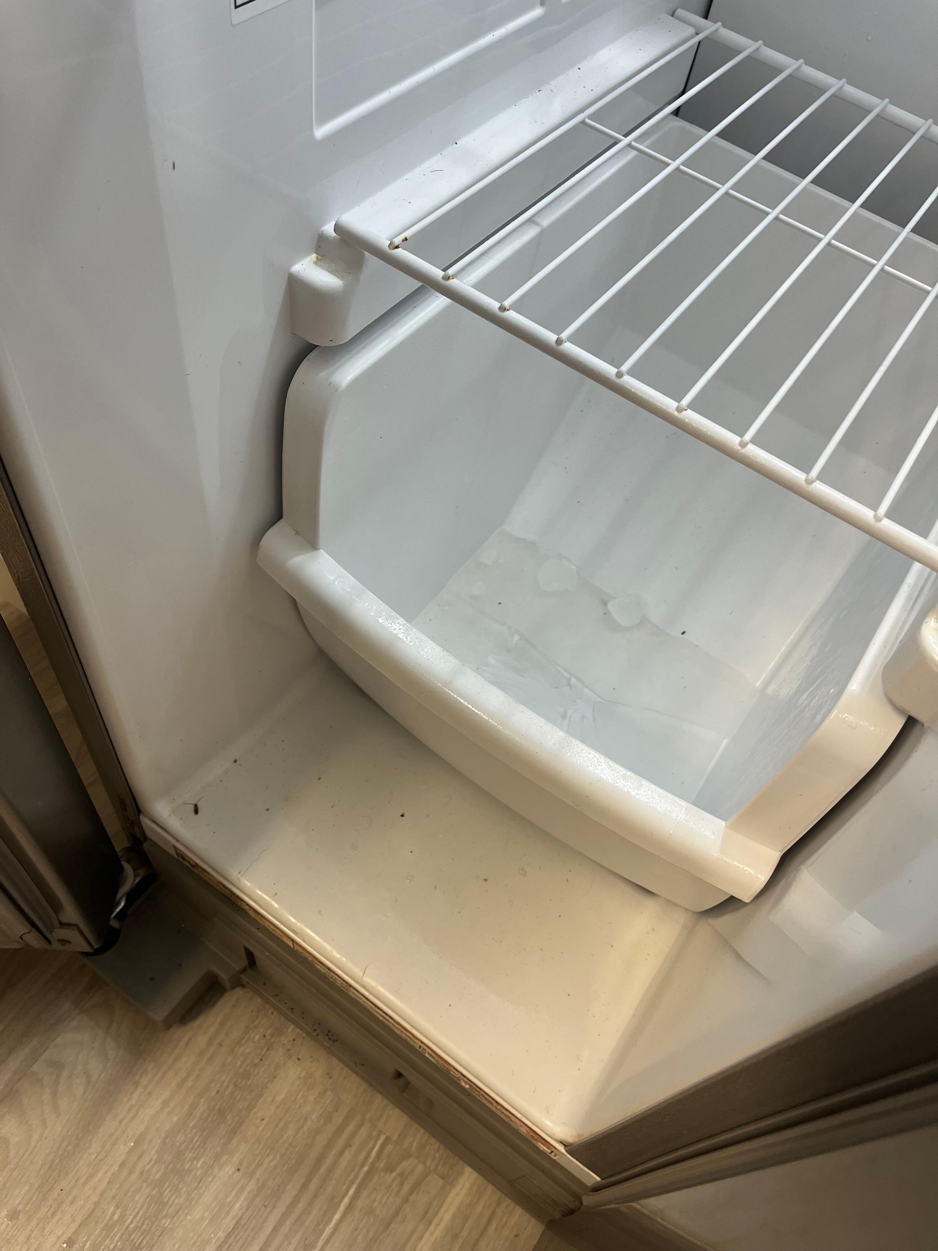 Dirty freezer
