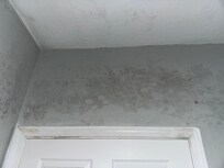 Mold above bathroom door