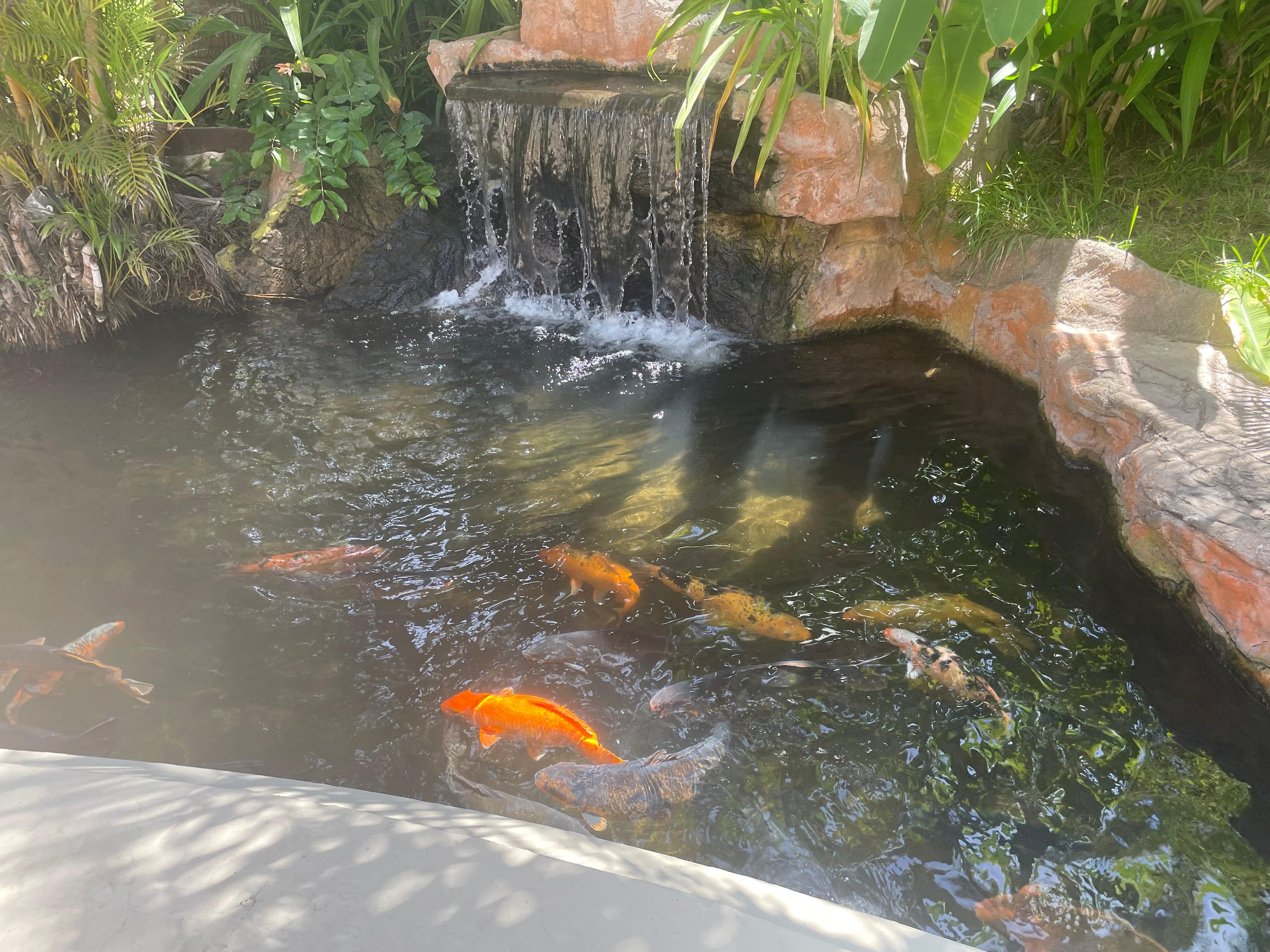 Atardecer en Mazatlán. EMERALD bay