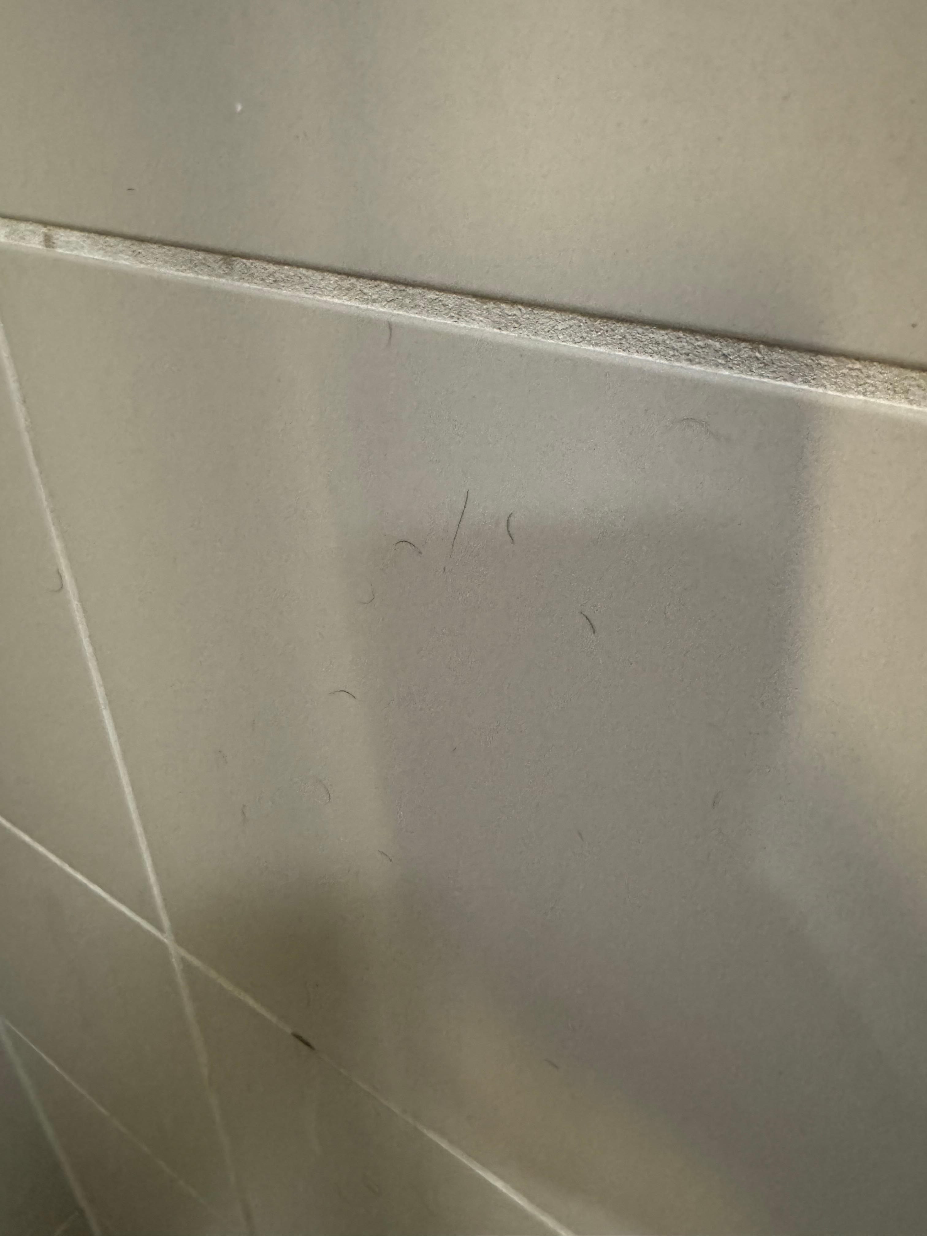 Hairs in shower 