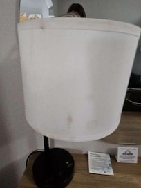Lamp shade covered in something