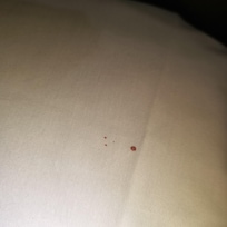 Bedding