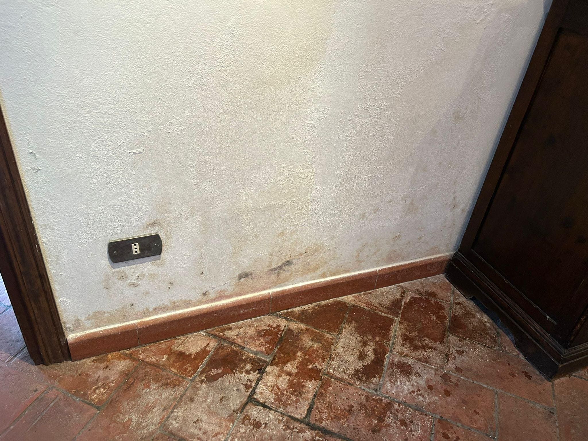 Schimmel in der Küche 