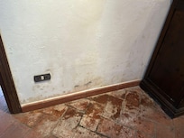 Schimmel in der Küche