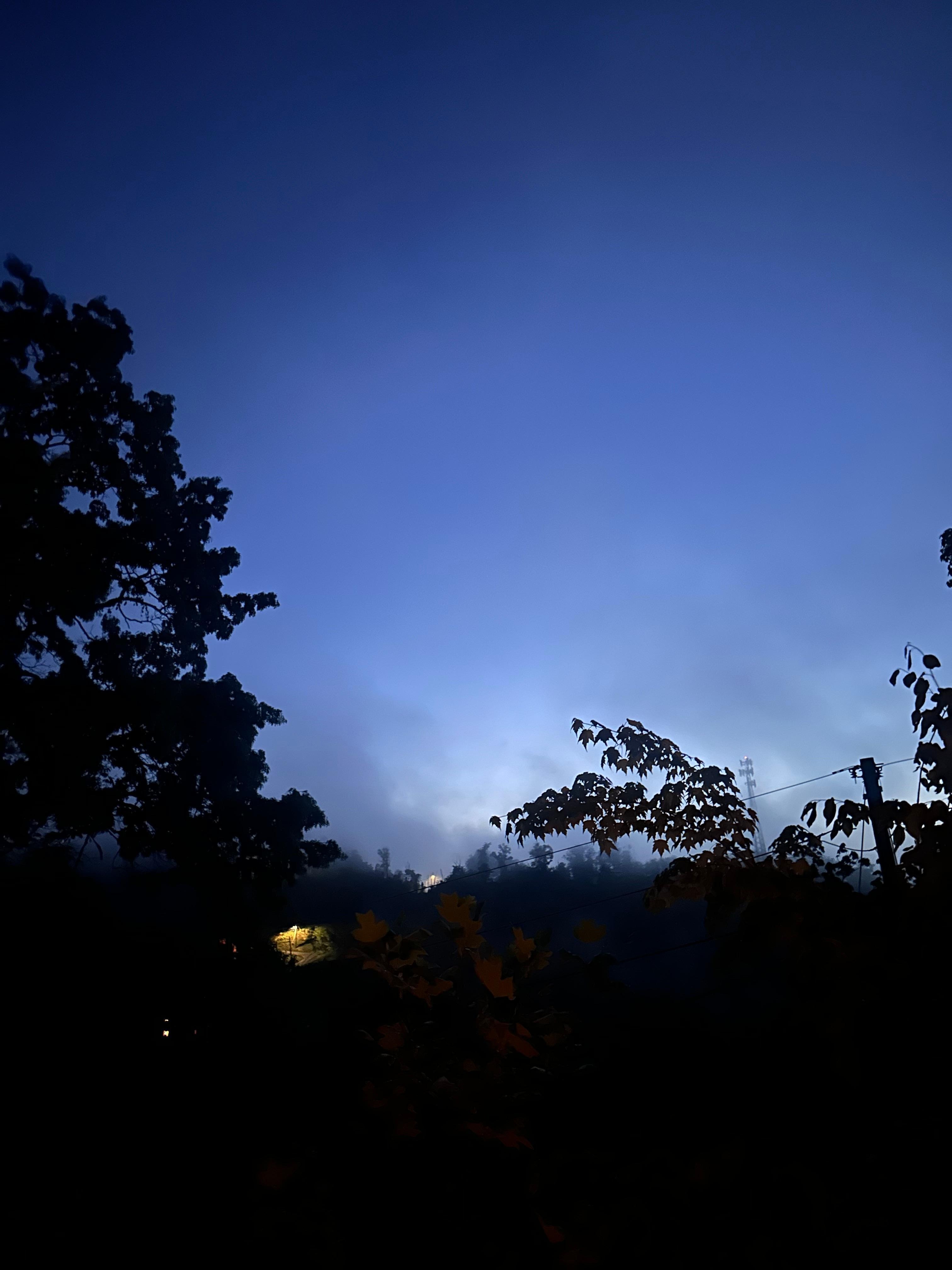 Blue hour the morning after a rainy day.
