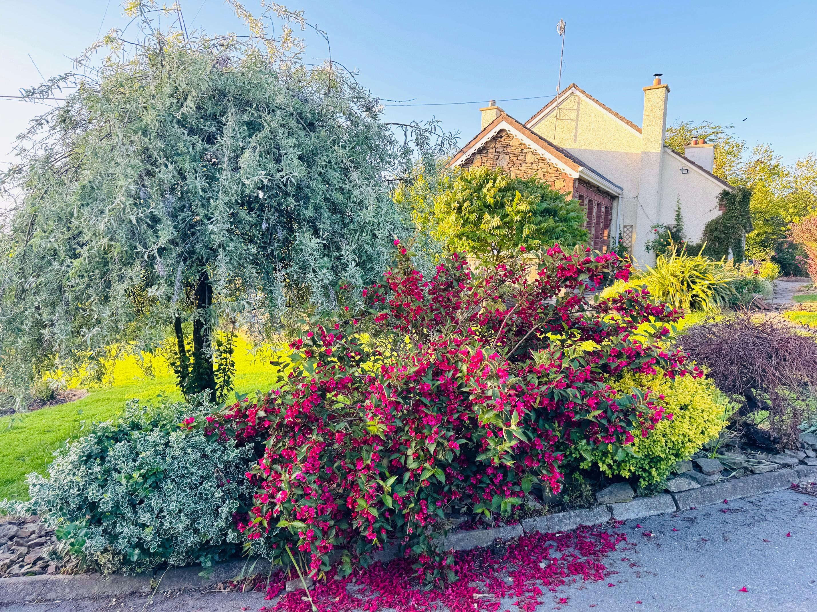 Lorna's landscaping around the house and grounds is all things zen and wonderful.