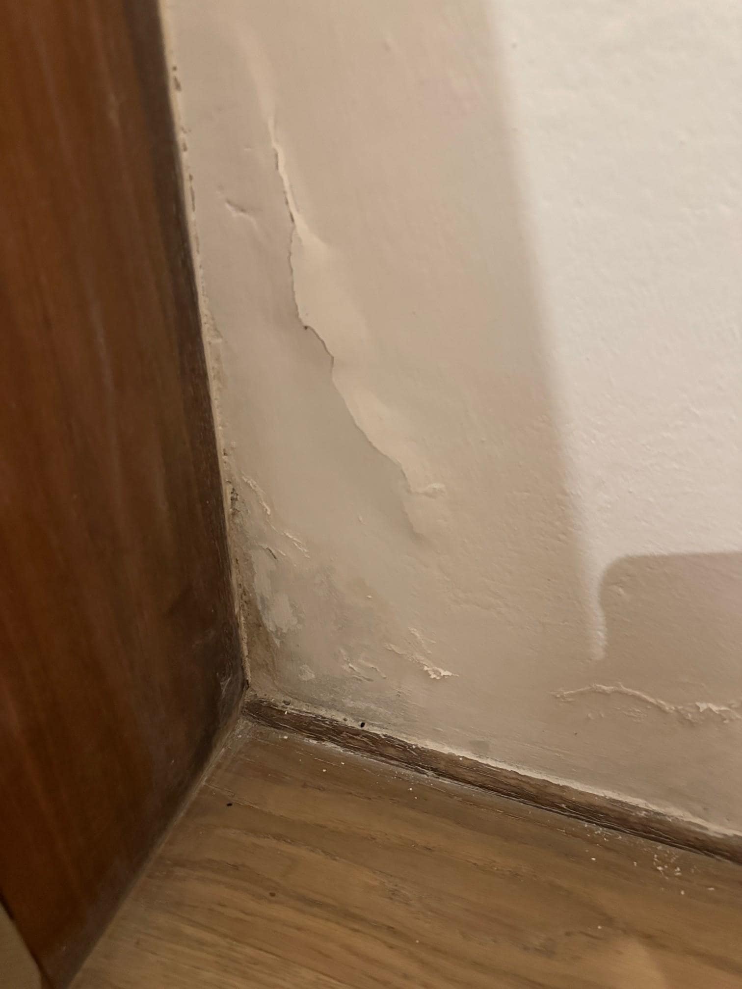 More mold and moisture damage.