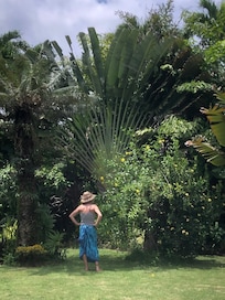 The property grounds were amazing