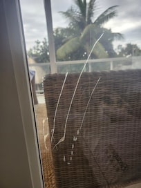 There seem to be scratches on the window in the living room.