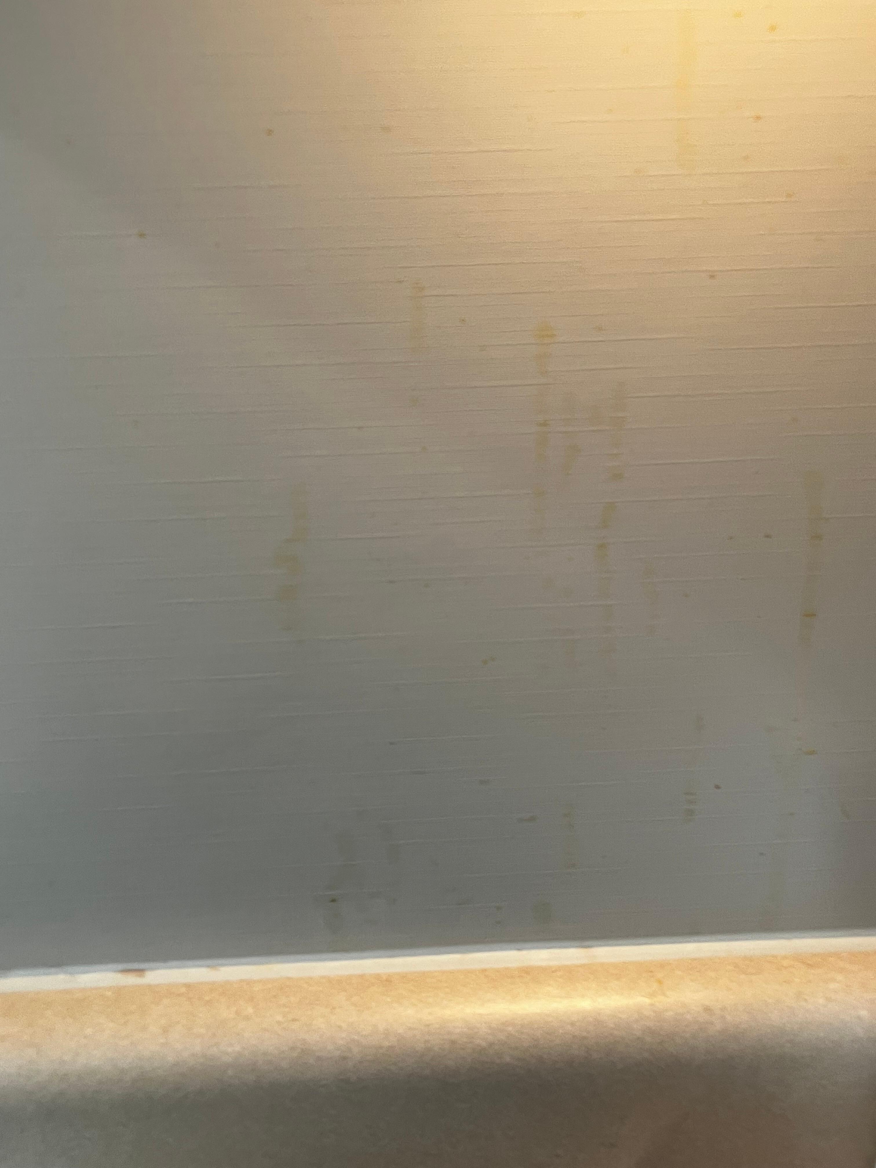 Wall above the stove.