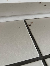 General filth everywhere