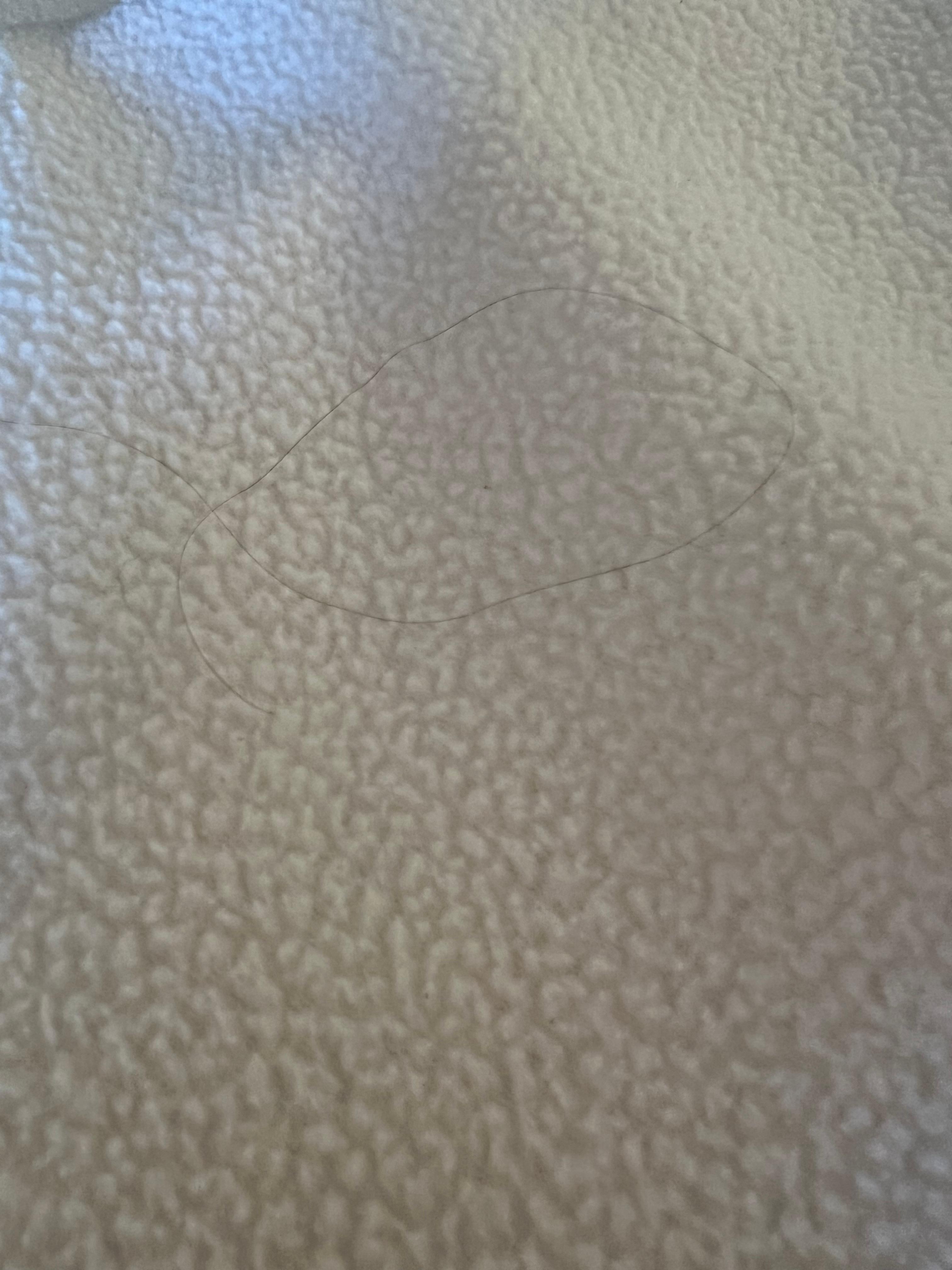 Human hair in many places on the blanket. 