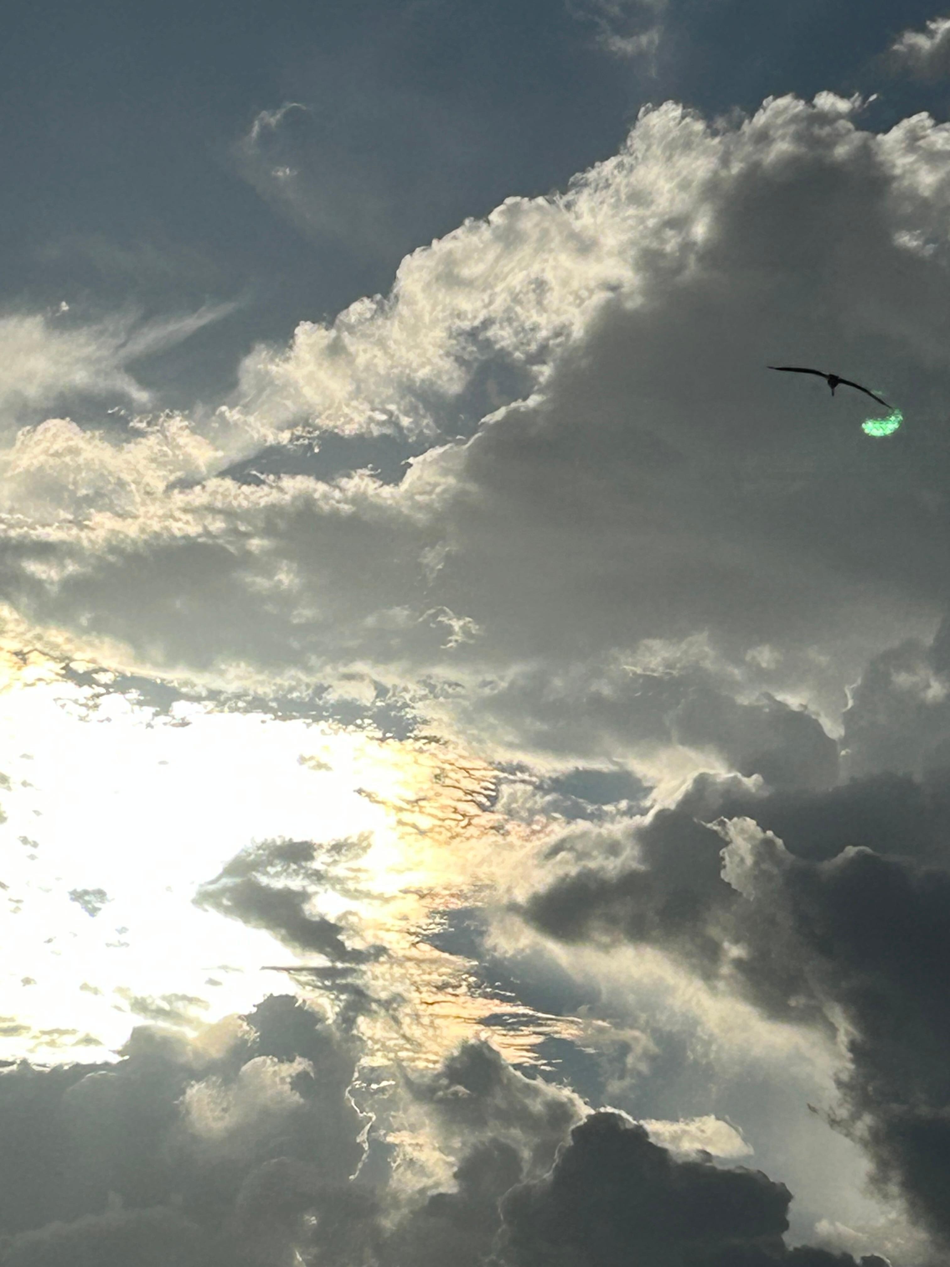 Sunrise