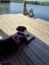 Even the pup loved it!