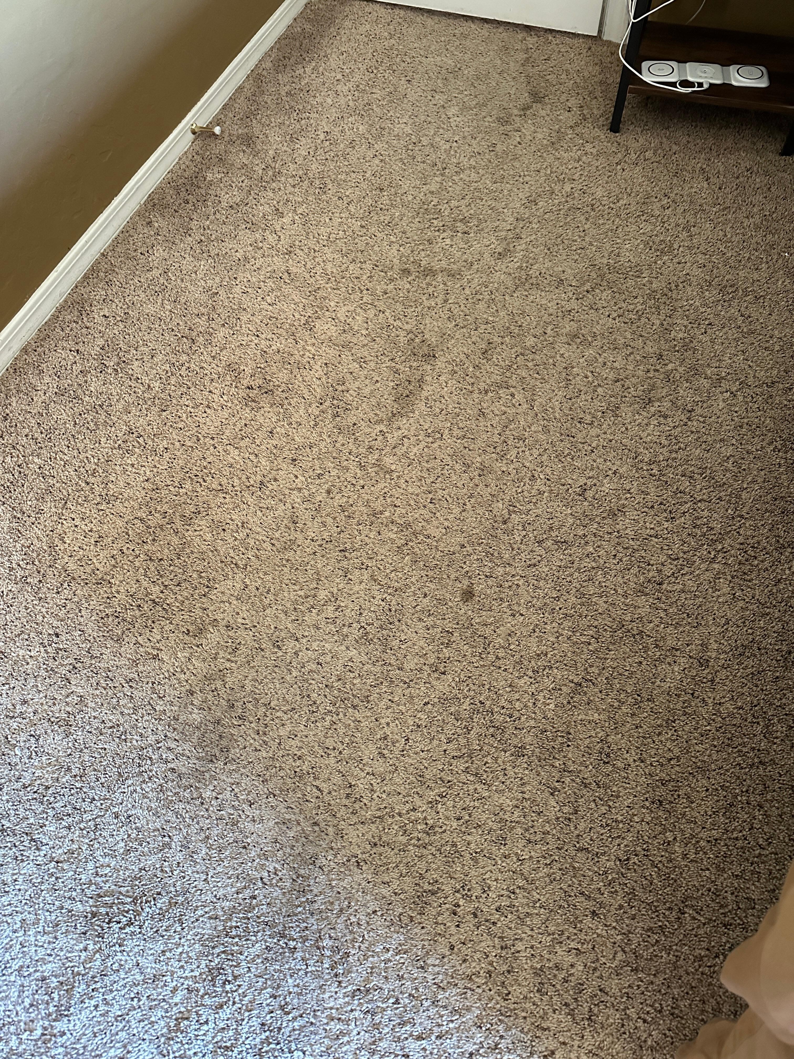 dirty carpets