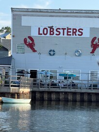 Lobster Festival 2025