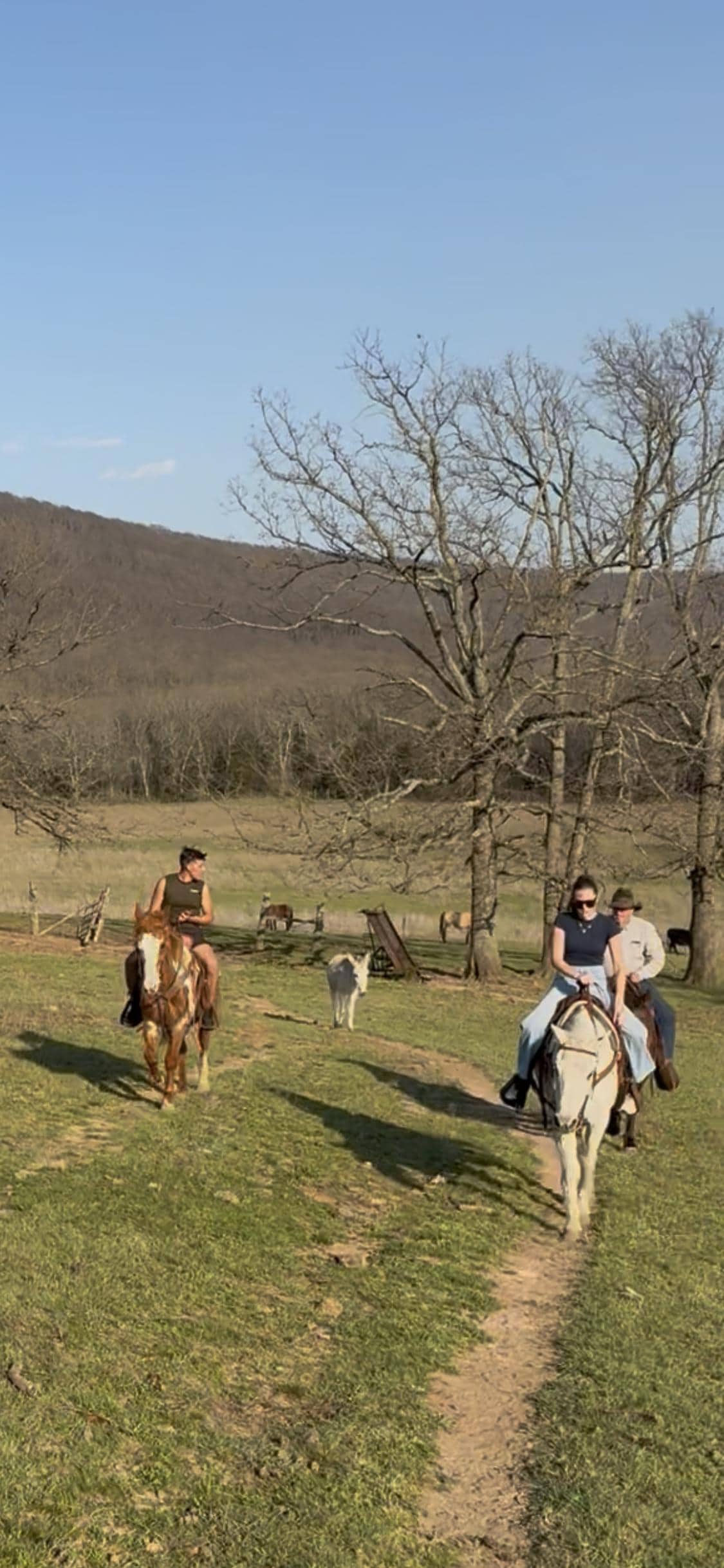 Going to see the wonderful story of David at Sight and Sound theater Branson!