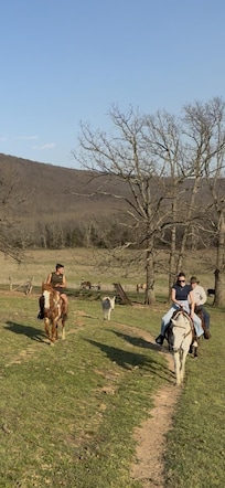 Going to see the wonderful story of David at Sight and Sound theater Branson!