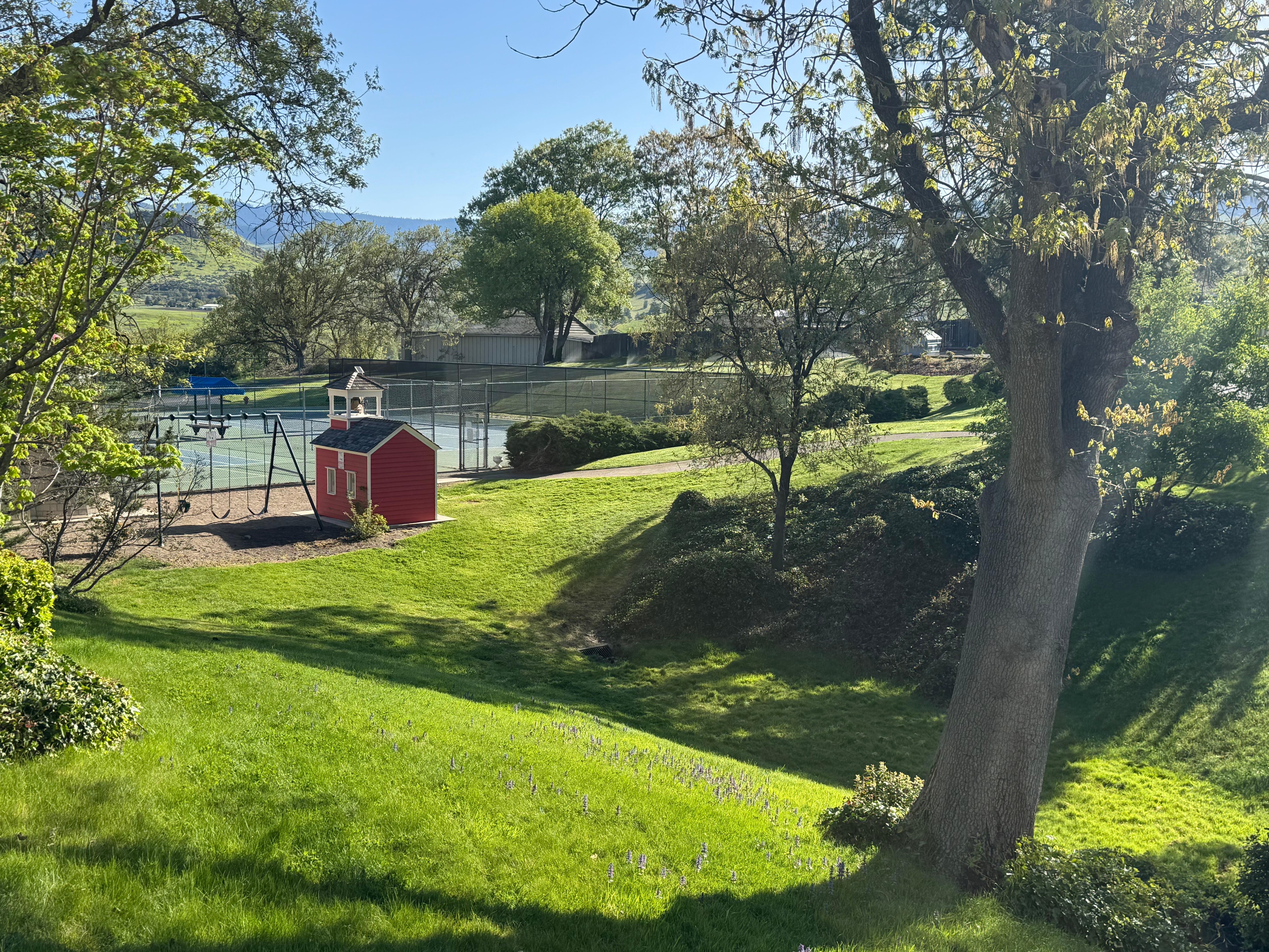 Landscaping to tennis courts