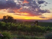 A view from the Adirondak chairs...